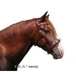Wendy B Side Pull Bitless Bridle And Reins